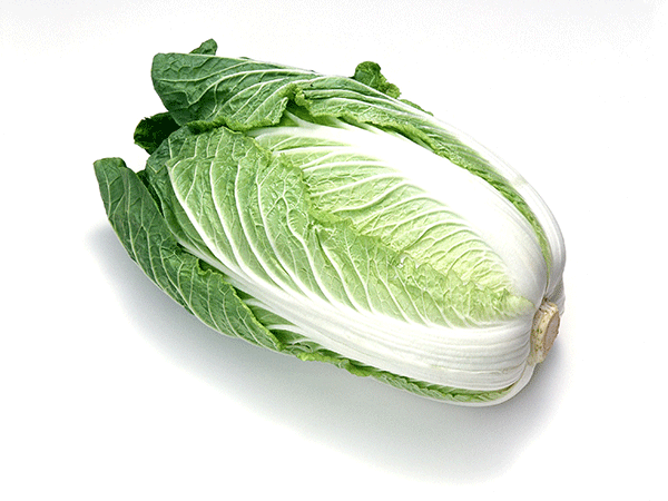 素菜類(lèi)